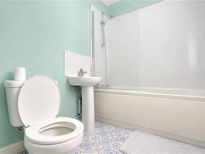 Picture 7